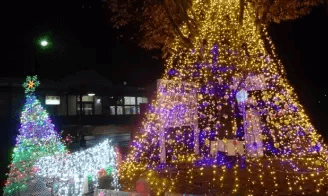 イルミネーション点灯式