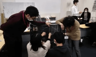 ミニイルミ点灯式