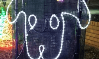 イルミネーション点灯式