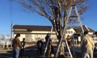 イルミネーション風景